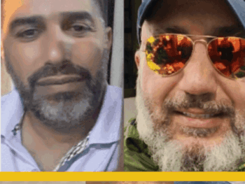 {{brizy_dc_image_alt entityId=