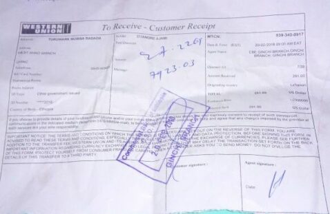 Eleanore Couture's Payment to Lensa